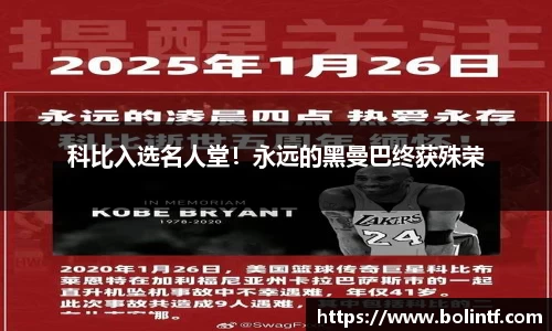 熊猫体育官网入口