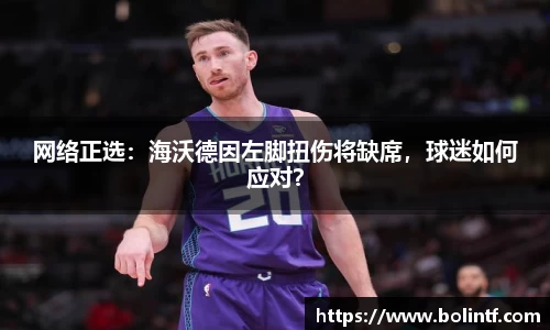 熊猫体育平台