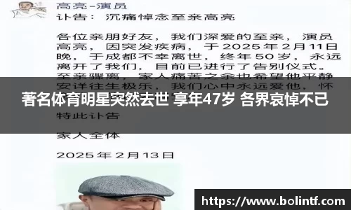 熊猫体育平台