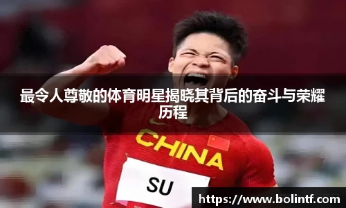 熊猫体育官网入口