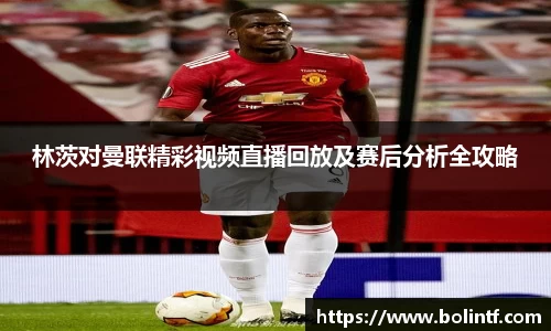 熊猫体育官网入口