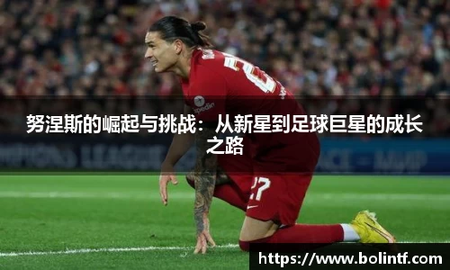 熊猫体育官网入口